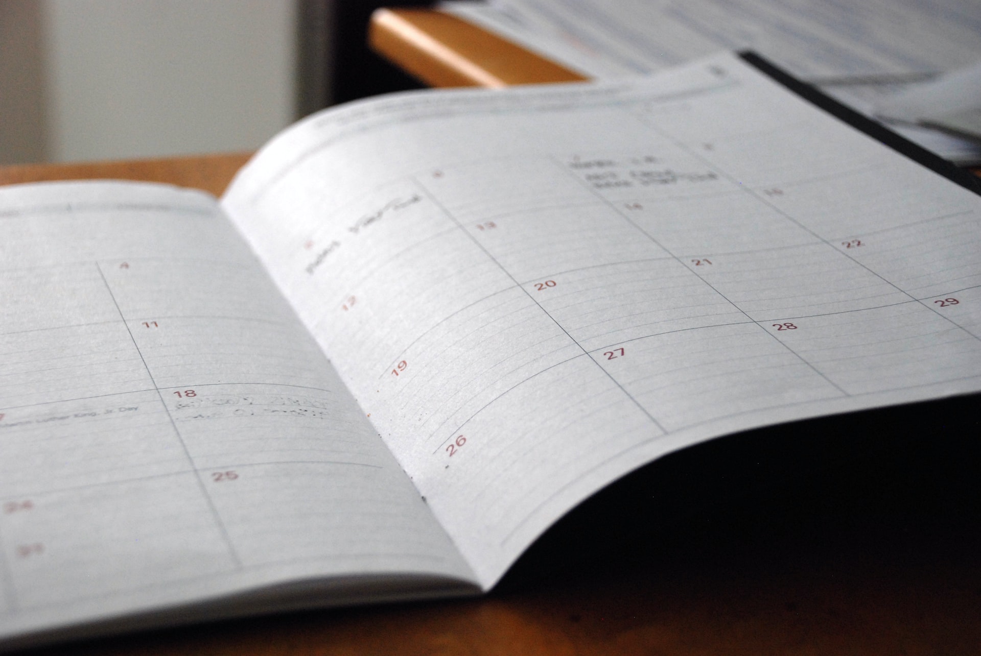 The day planner The day planner